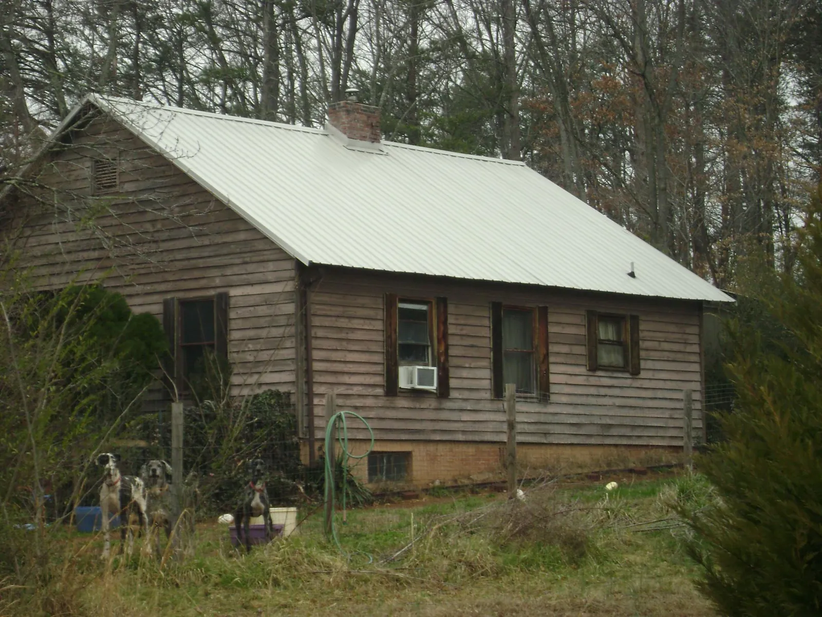 White metal roof on an old wood sided farmhouse, from a Asphalt Shingle Roof Repair job in Peck